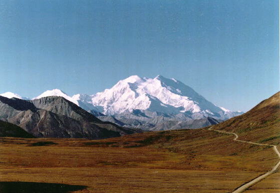 �����D�}�b�L�����[