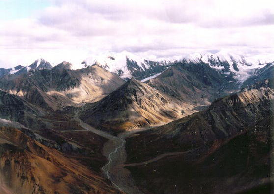 �����D�}�b�L�����[