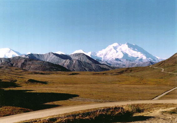 �����D�}�b�L�����[