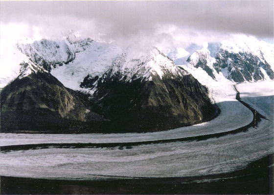 �����D�}�b�L�����[